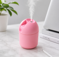 USB Mini Air Humidifier – 250ml Portable Cool Mist with LED Light